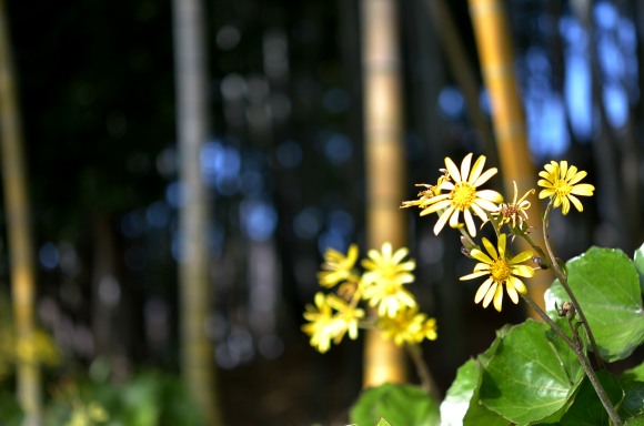 f0297861_22235953.jpg