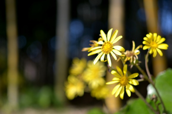 f0297861_22241119.jpg