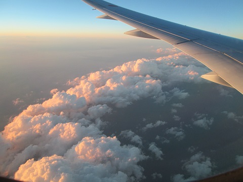 d0029363_1335451.jpg