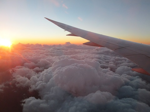 d0029363_13361931.jpg