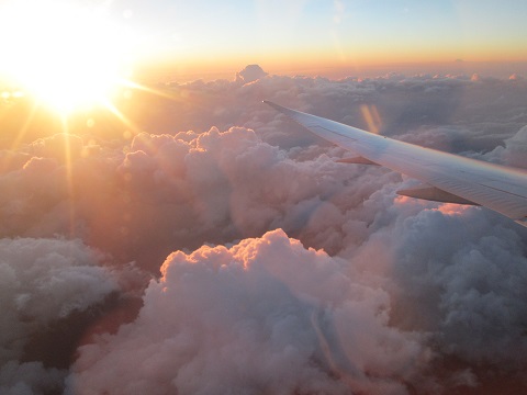 d0029363_1336899.jpg