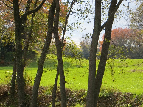 d0120665_23291125.jpg