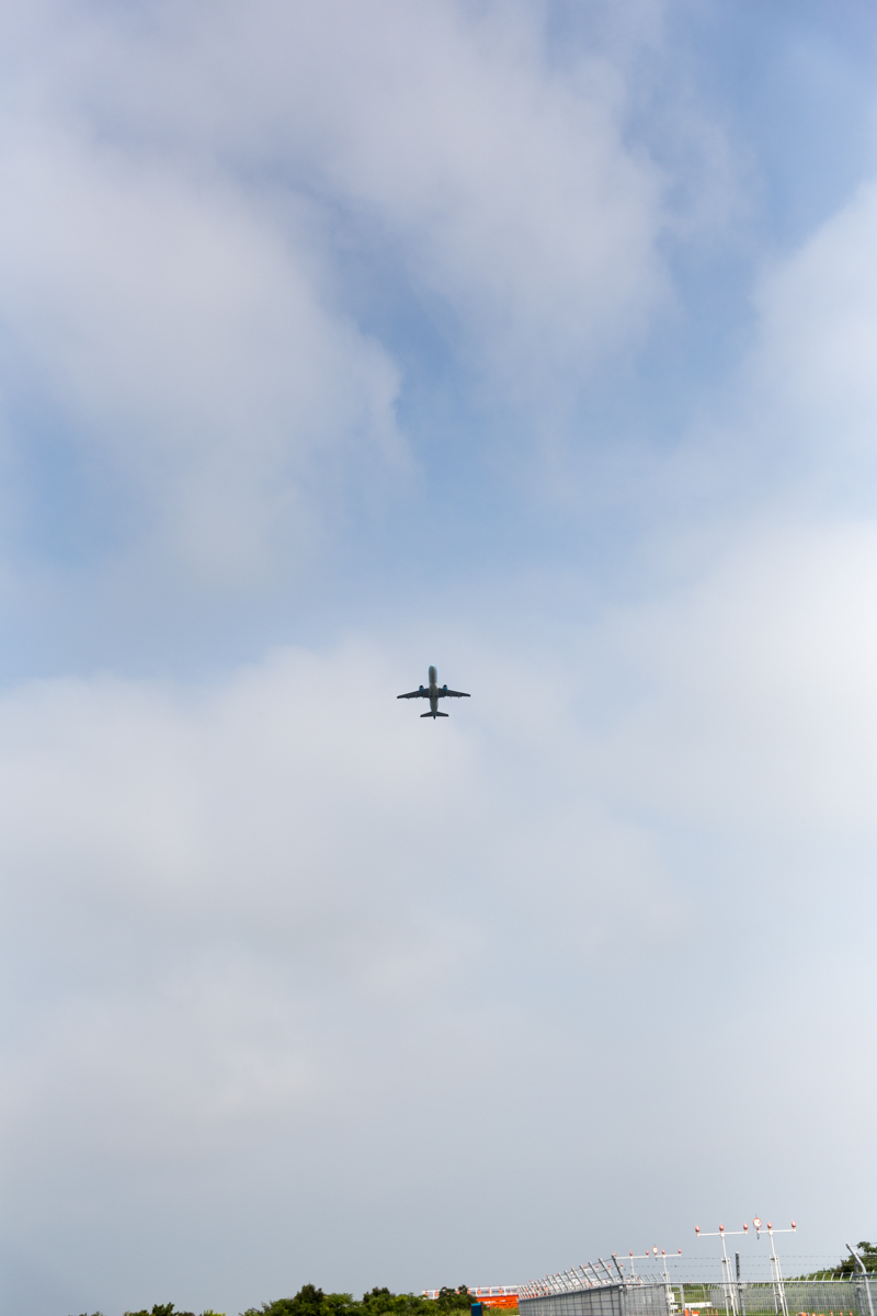 a0119166_00344981.jpg