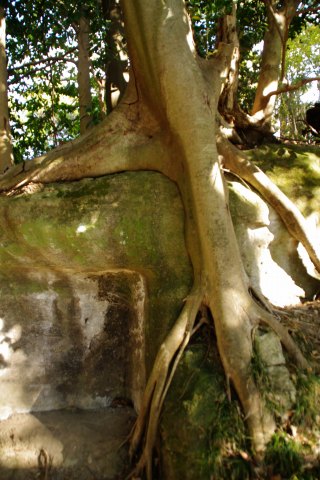 e0045768_22132566.jpg