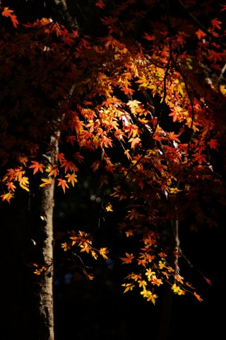 e0045768_22134587.jpg