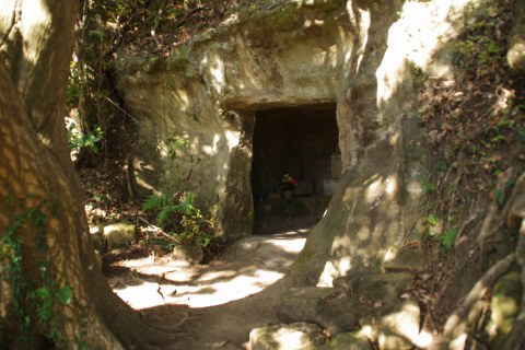 e0045768_22686.jpg