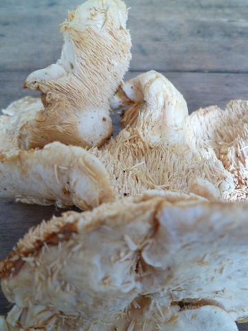 f0241468_120856.jpg