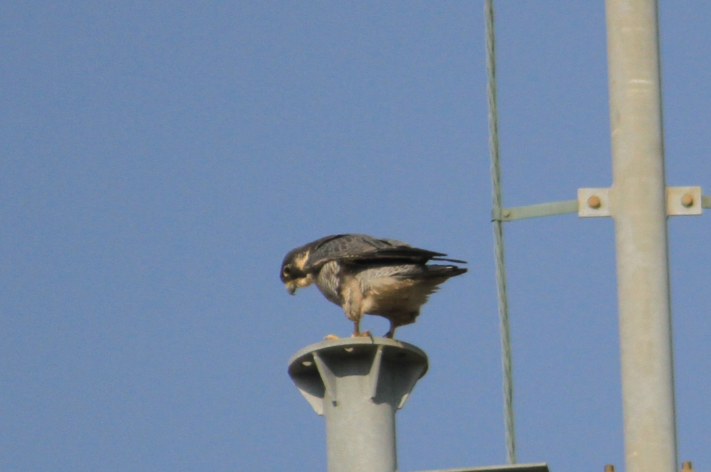 e0197884_2039141.jpg