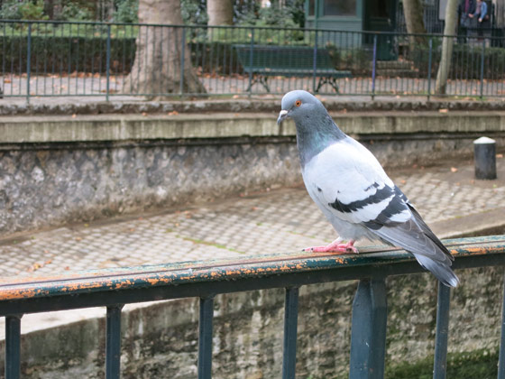 f0176688_123683.jpg