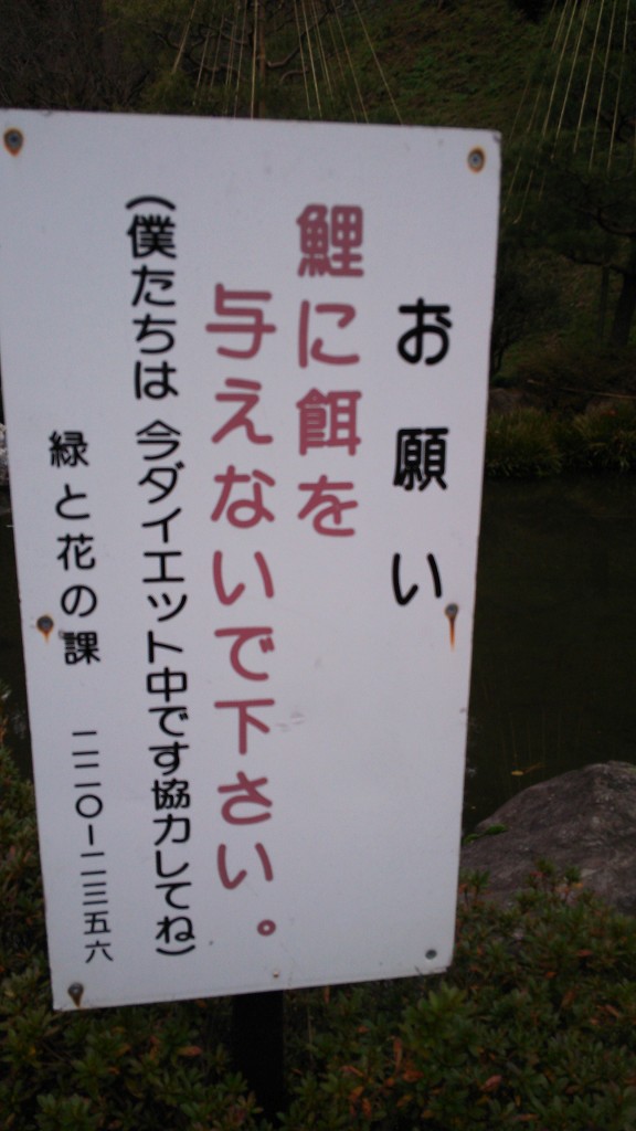 b0100489_103037.jpg