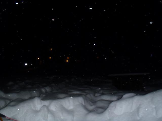 c0147398_1811852.jpg