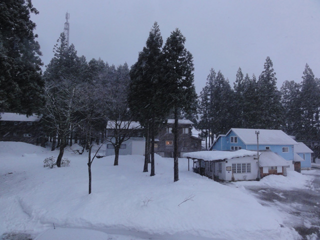 a0061599_720724.jpg