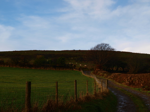 b0110999_2152247.jpg