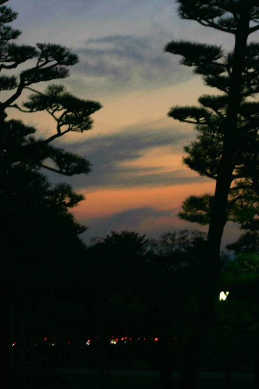 f0083400_115098.jpg