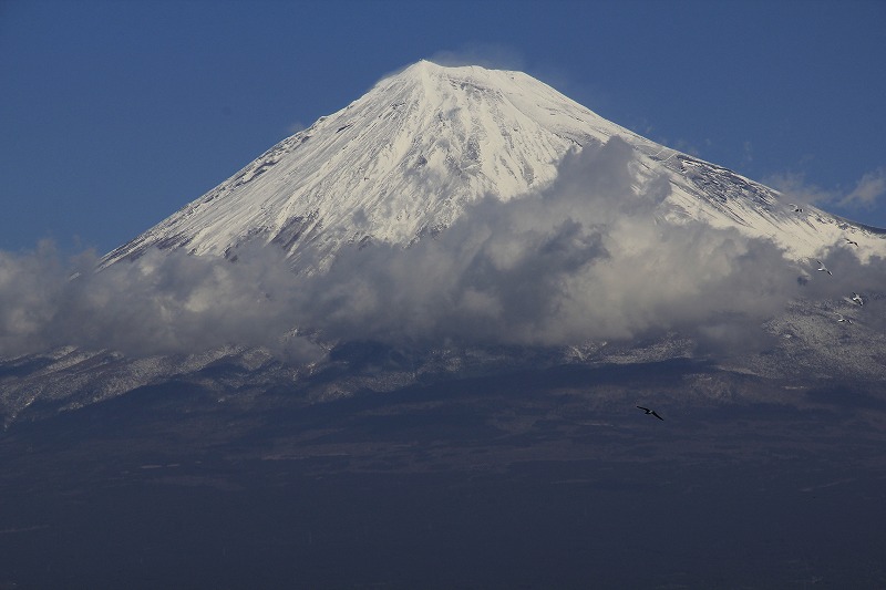 a0188405_16502326.jpg