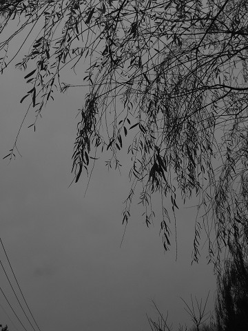 b0309813_2151425.jpg
