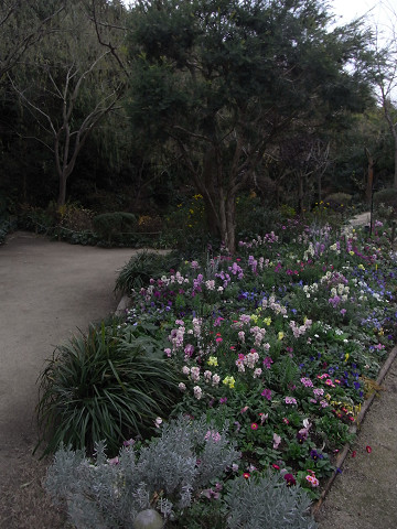 b0309813_2455163.jpg