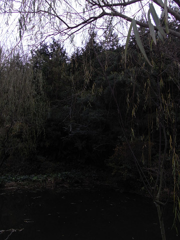 b0309813_2462790.jpg