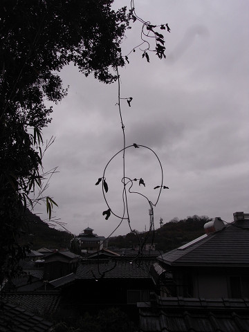 b0309813_2493731.jpg