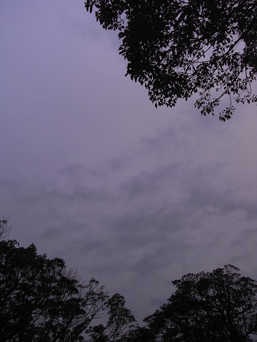 b0309813_254284.jpg