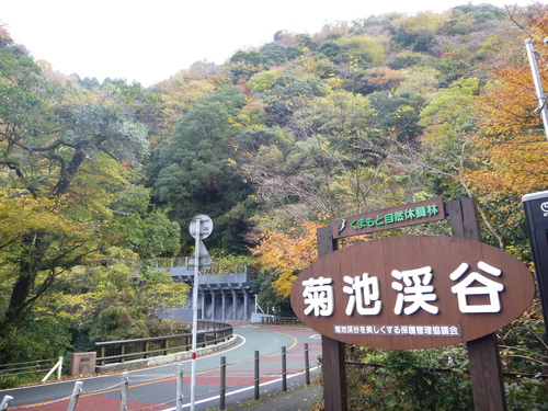 d0170615_21331760.jpg