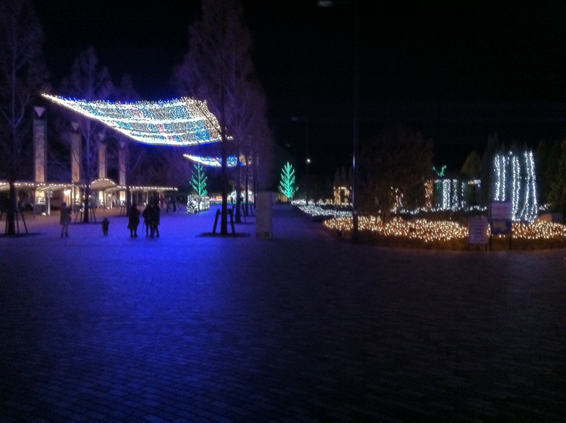e0255717_17165190.jpg