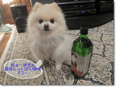 b0167519_23402534.gif