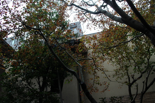 d0033734_12192647.jpg