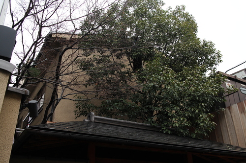 d0033734_12262770.jpg