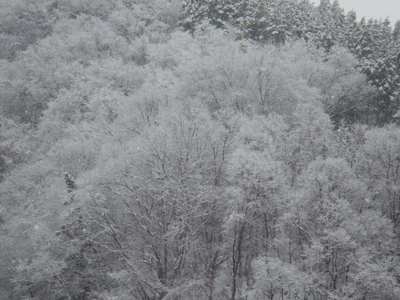 c0300035_9251533.jpg