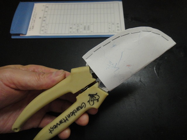 f0208737_8132290.jpg