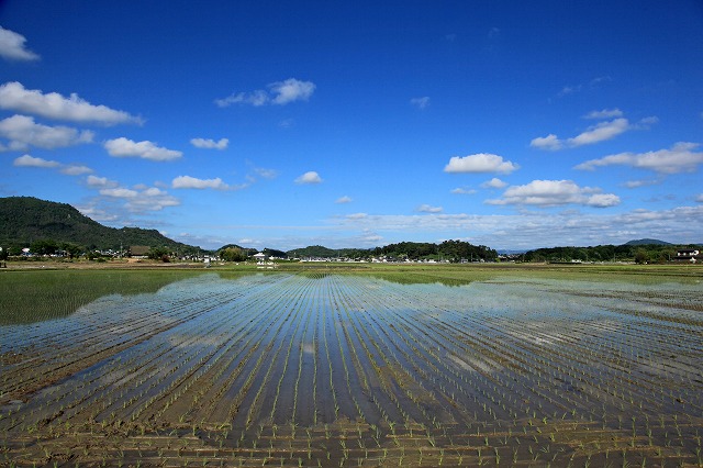 a0242438_1952538.jpg