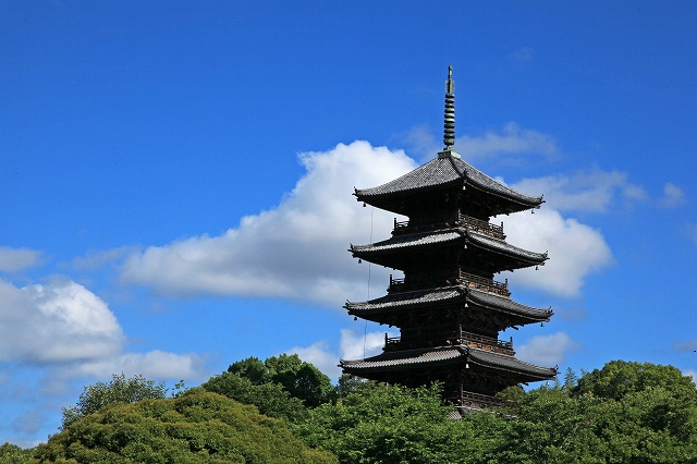 a0242438_19525860.jpg