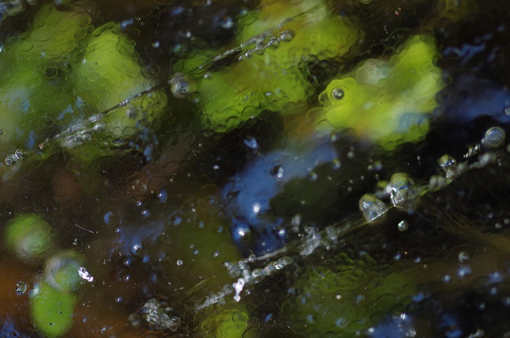 d0165741_12463920.jpg