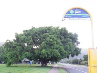 e0138350_21564847.jpg