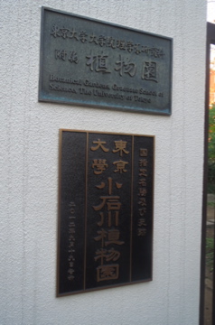 f0169661_21404399.jpg