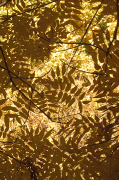 f0169661_227067.jpg