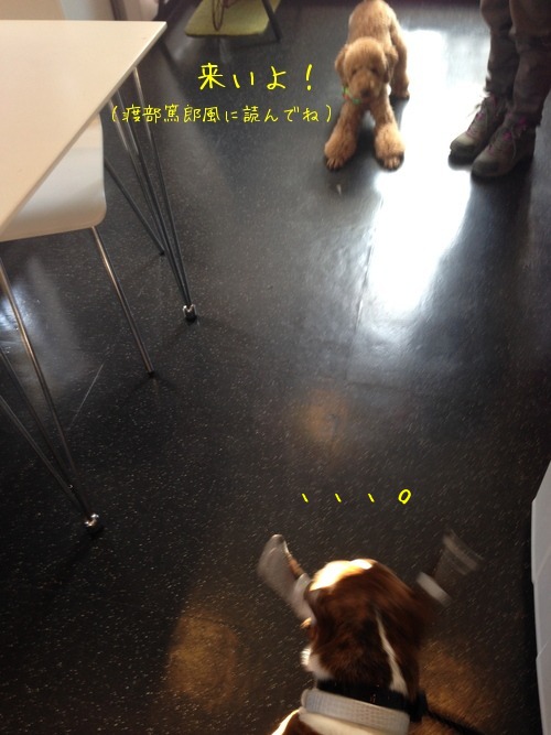 f0177261_14304896.jpg