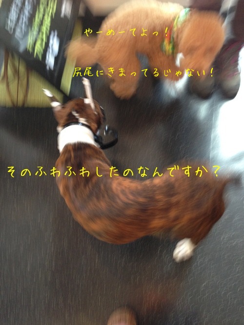 f0177261_14443546.jpg