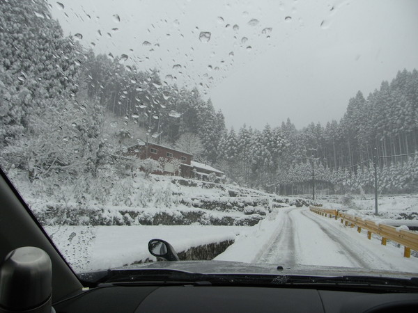 a0146070_5403656.jpg