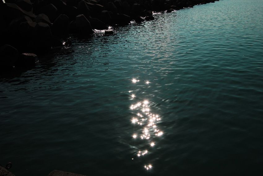 e0243382_20374149.jpg