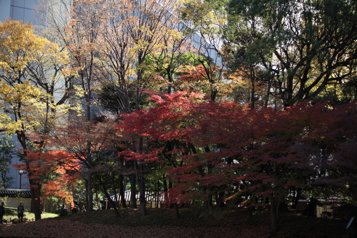 f0164989_12342545.jpg