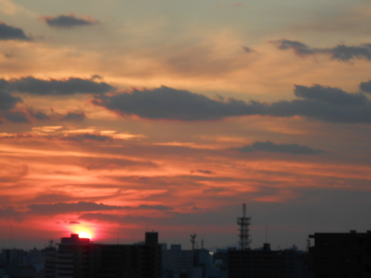 d0257690_232046.jpg