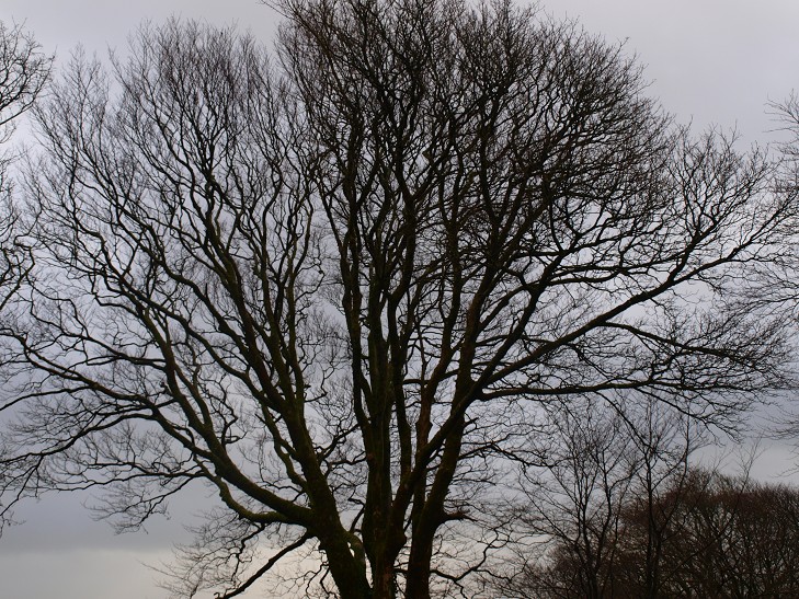 b0110999_219252.jpg