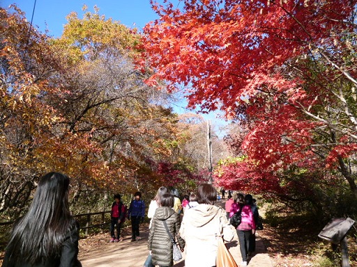 a0140305_2302135.jpg