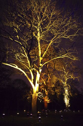 e0114020_855569.jpg