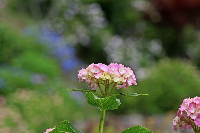 a0242438_1913480.jpg