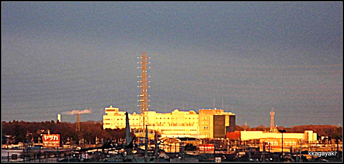 e0206242_7411931.jpg