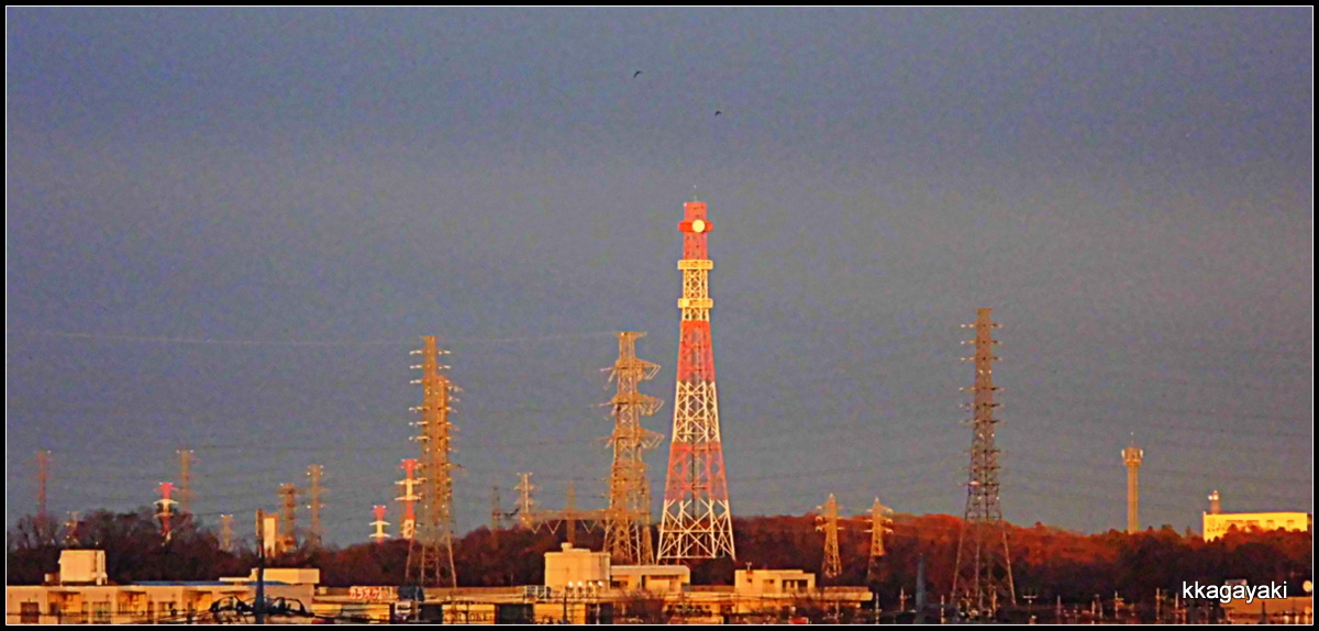 e0206242_741659.jpg