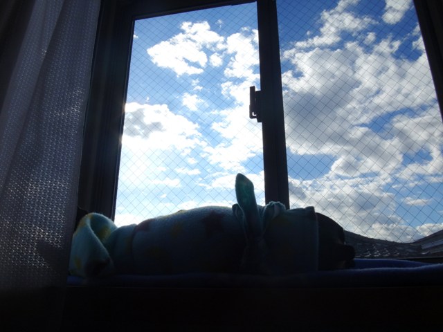 e0150843_22241786.jpg
